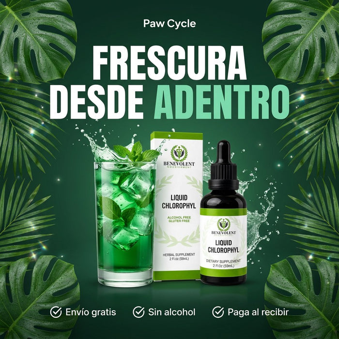 Clorofila Fresh · Gotas Verdes Sabor Menta