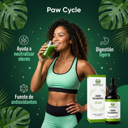 Clorofila Fresh · Gotas Verdes Sabor Menta